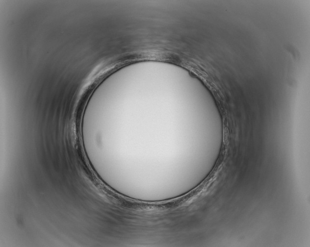 X0000111430198200907131047
