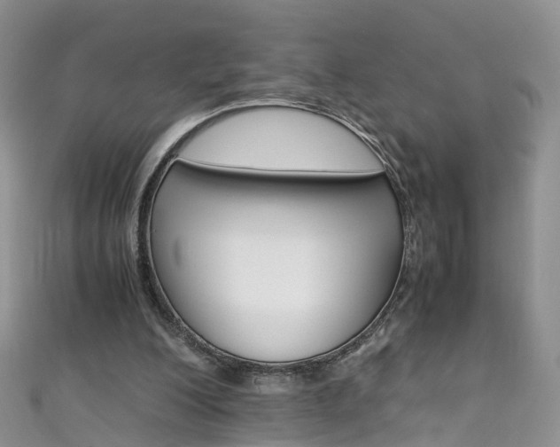 X0000111430200200907131047