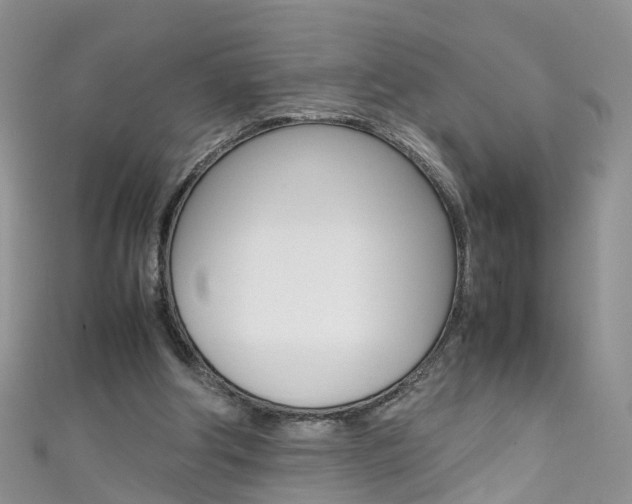 X0000111430202200907131047