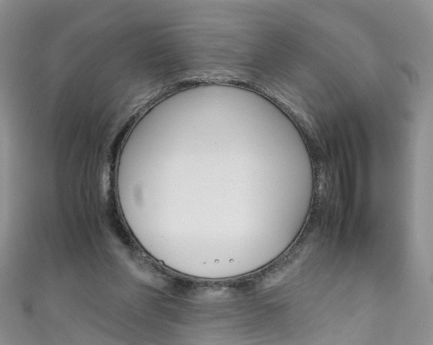 X0000111430206200907131047