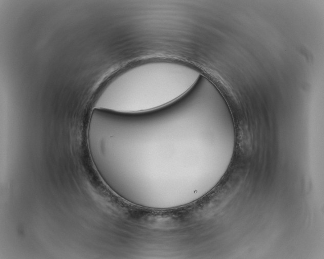 X0000111430208200907131047