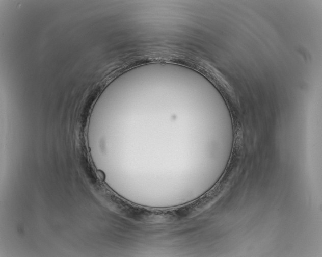 X0000111430209200907131047