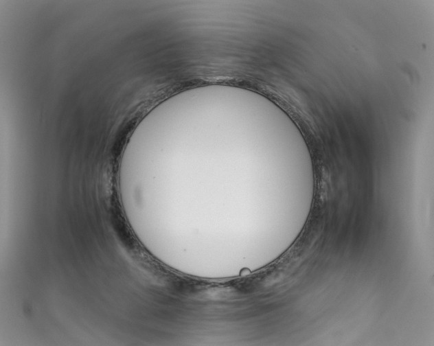 X0000111430210200907131047