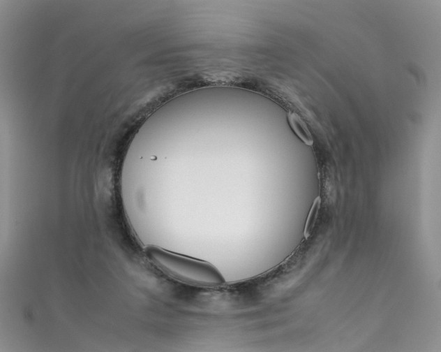 X0000111430211200907131047