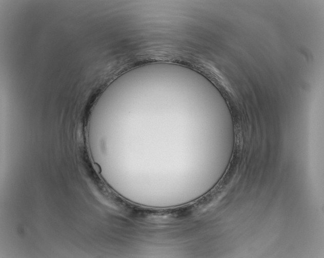 X0000111430213200907131047