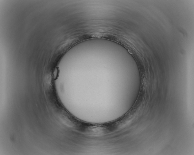 X0000111430219200907131047