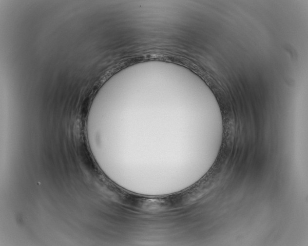 X0000111430222200907131047