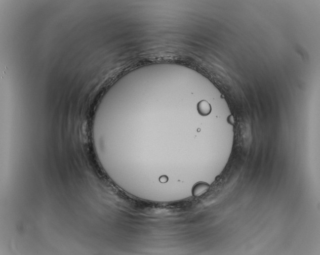 X0000111430224200907131047