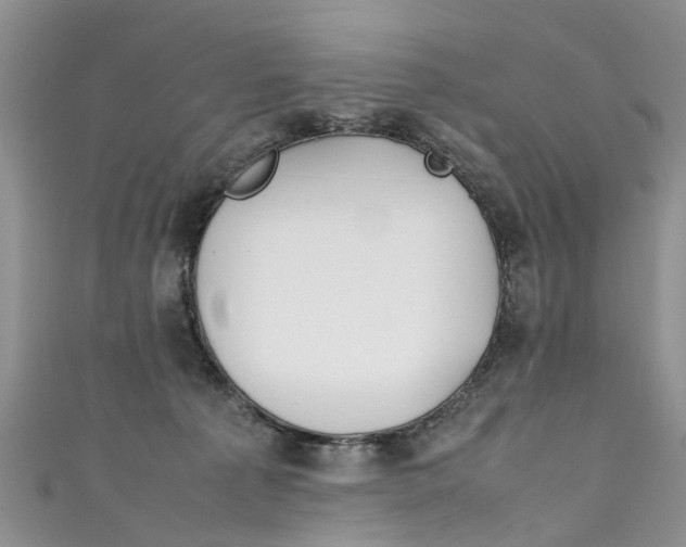 X0000111430225200907131047