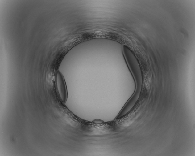 X0000111430235200907131046