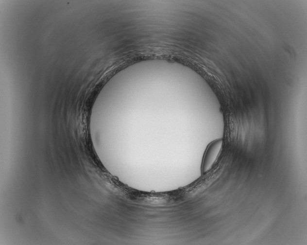 X0000111430236200907131046