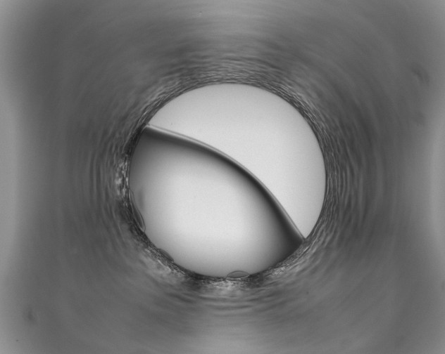 X0000111430237200907131046