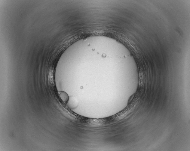 X0000111430238200907131046