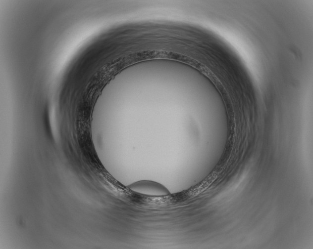 X0000111430239200907131046