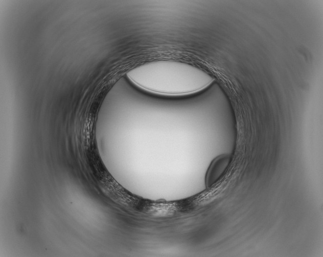 X0000111430240200907131046