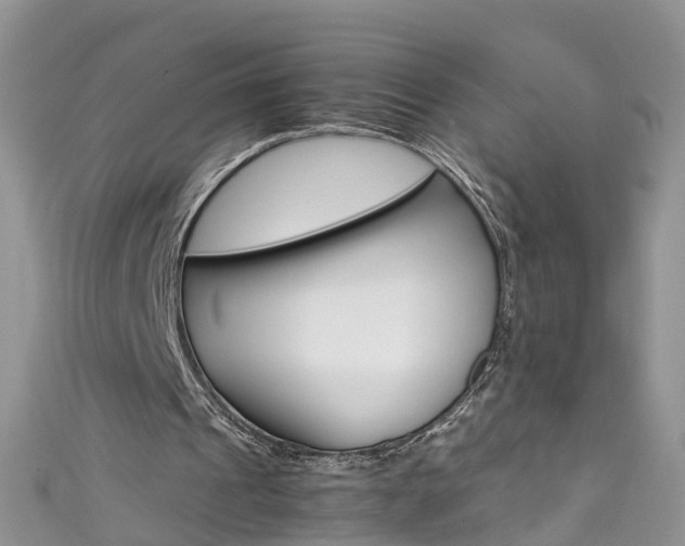 X0000111430241200907131046