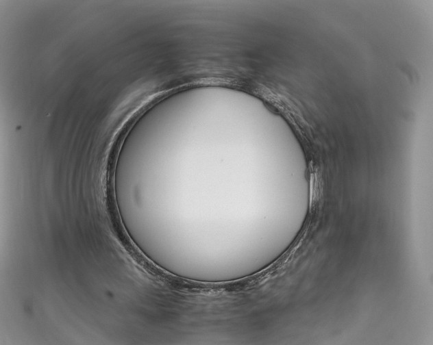 X0000111430243200907131046