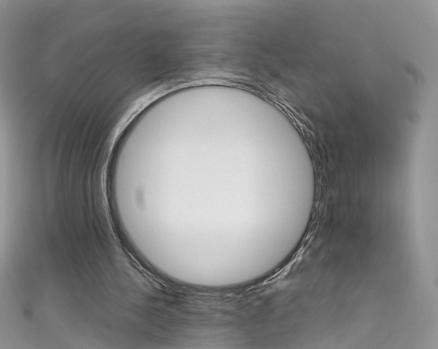 X0000111430244200907131046