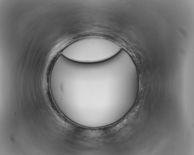 X0000111430245200907131046