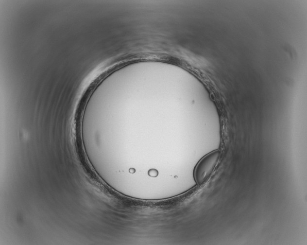 X0000111430246200907131046