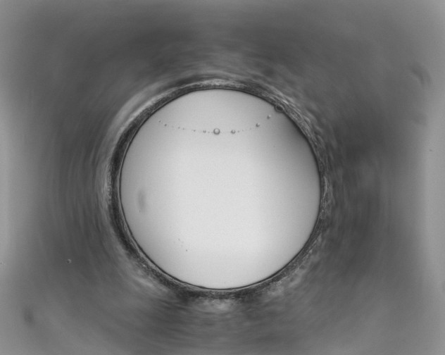 X0000111430247200907131046