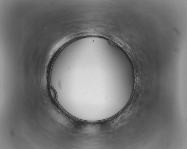 X0000111430248200907131046