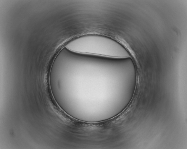 X0000111430249200907131046