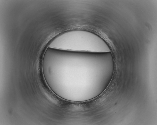 X0000111430250200907131046