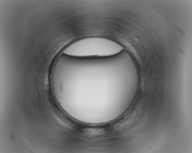 X0000111430251200907131046