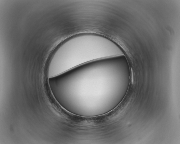 X0000111430252200907131046