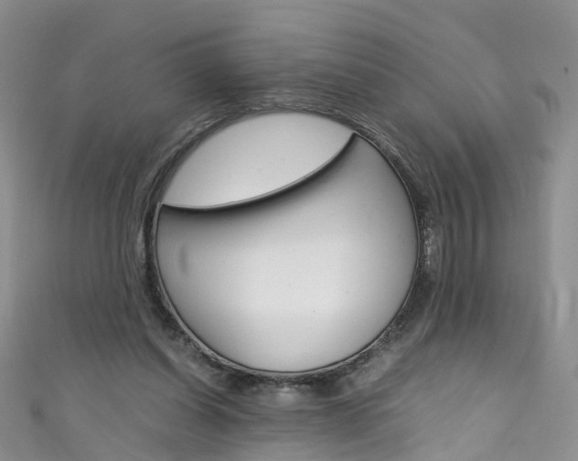 X0000111430254200907131046