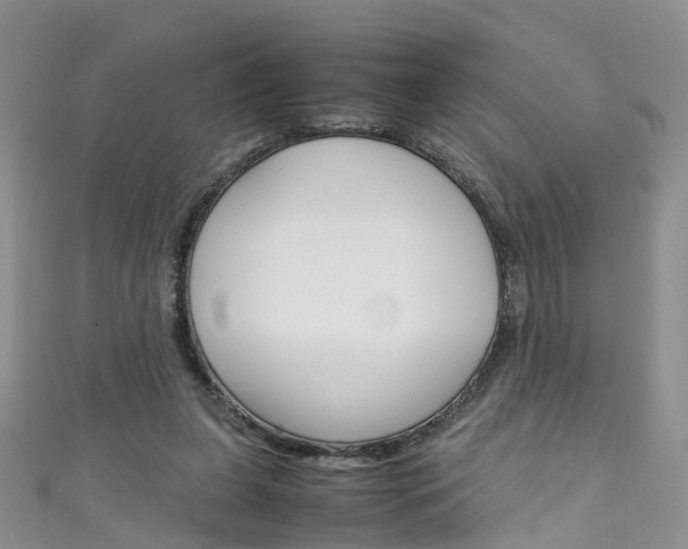 X0000111430255200907131046