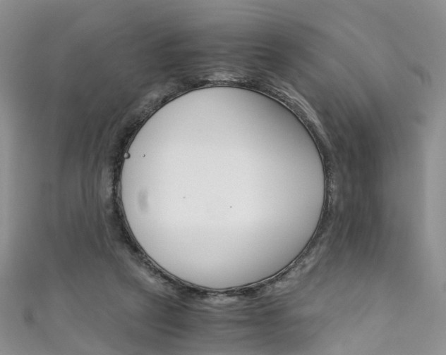 X0000111430257200907131046