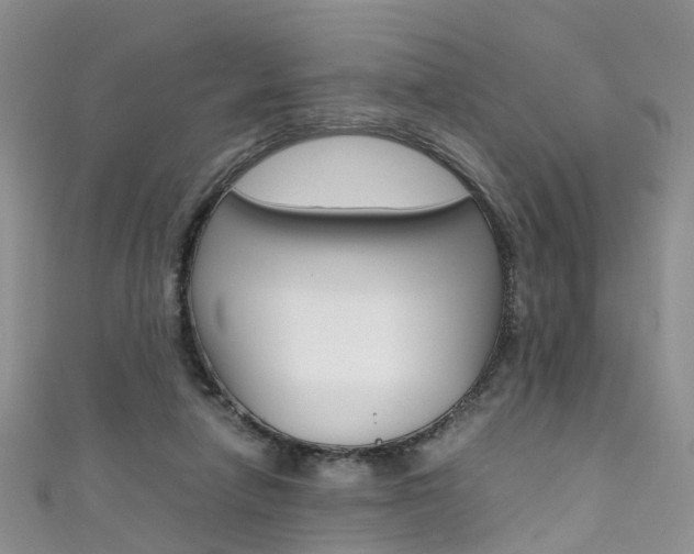 X0000111430258200907131046
