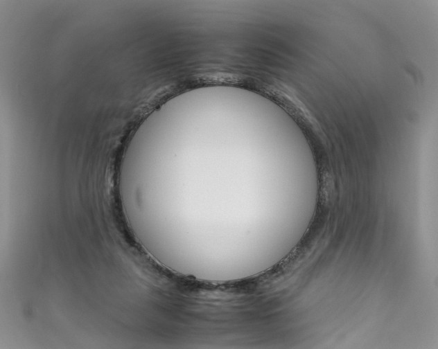 X0000111430259200907131046