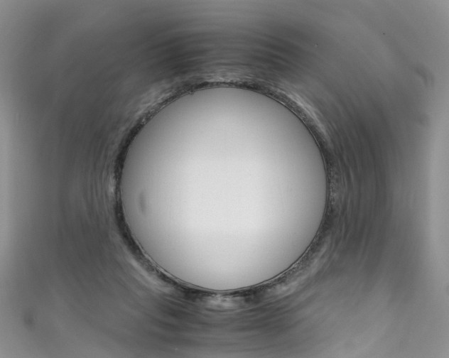 X0000111430261200907131046