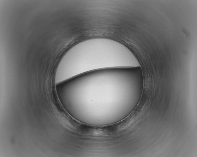 X0000111430264200907131046