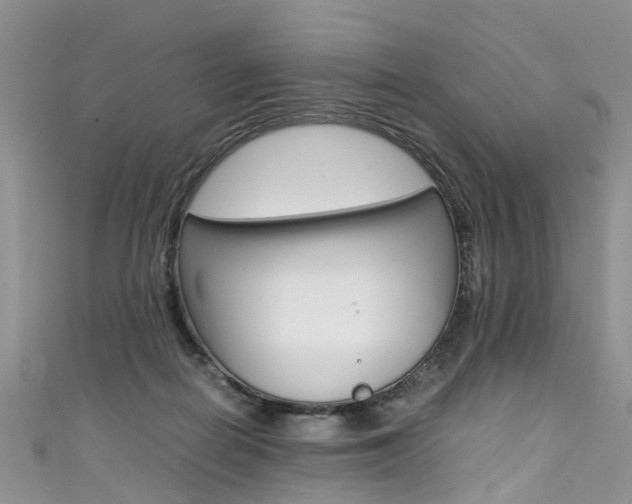 X0000111430266200907131046
