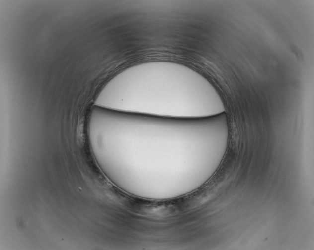 X0000111430267200907131046