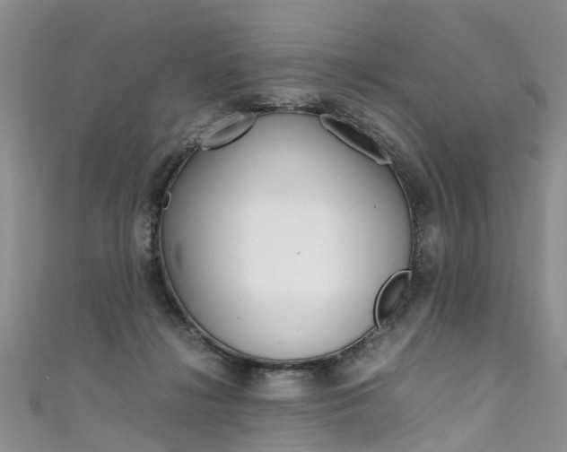 X0000111430268200907131046