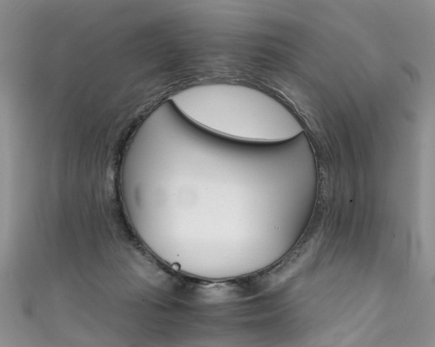 X0000111430269200907131046