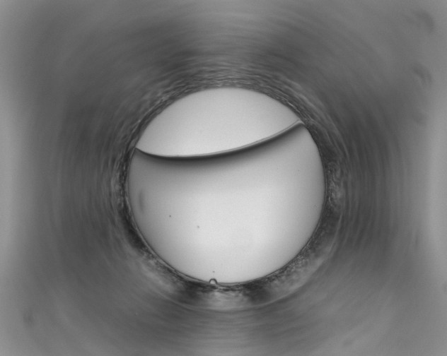 X0000111430270200907131046