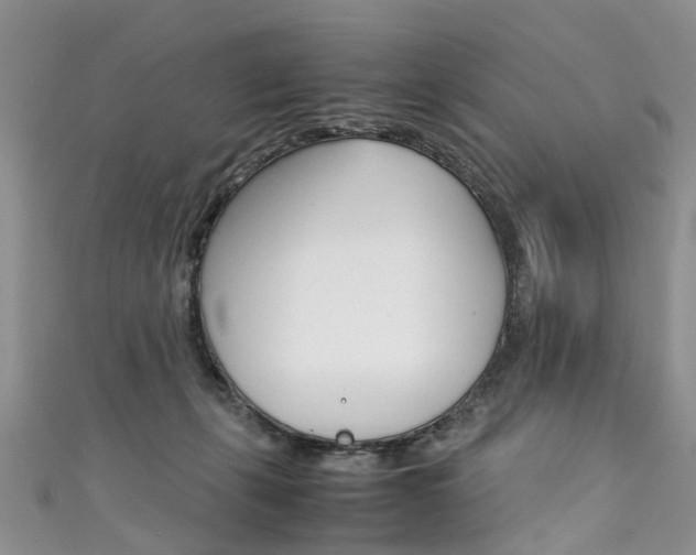 X0000111430271200907131046
