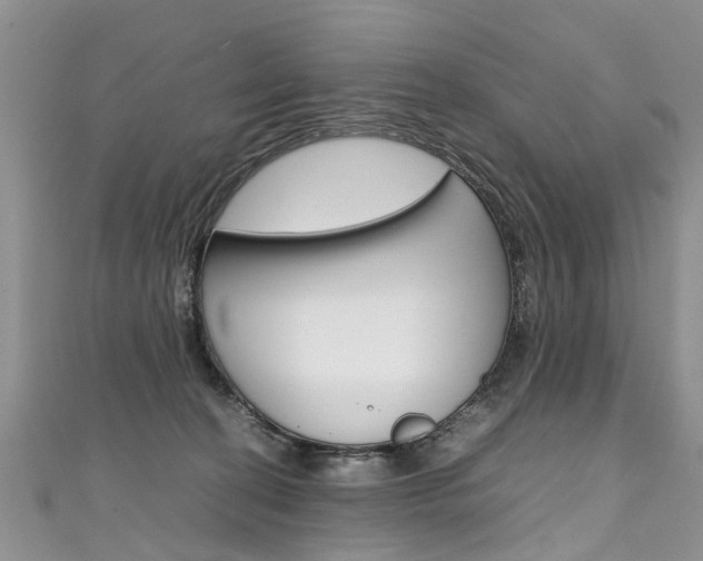 X0000111430274200907131046