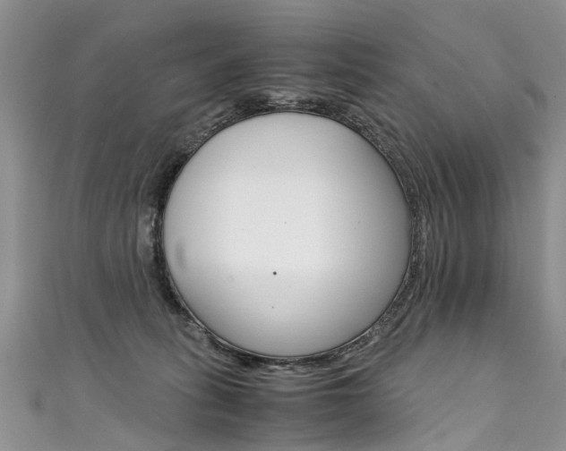 X0000111430275200907131046