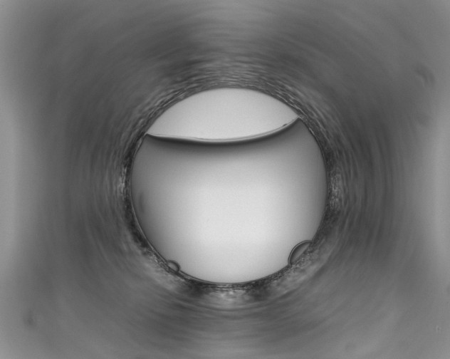 X0000111430278200907131046