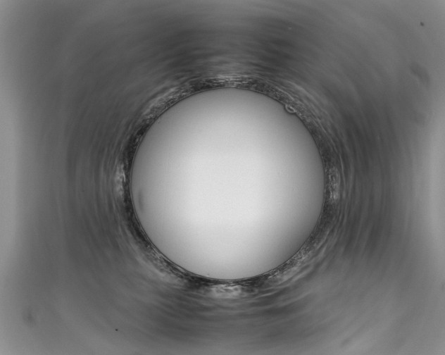 X0000111430279200907131046