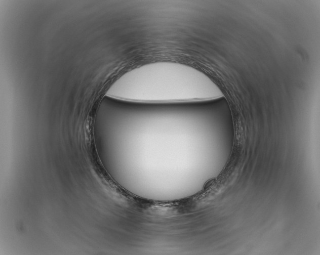X0000111430280200907131046