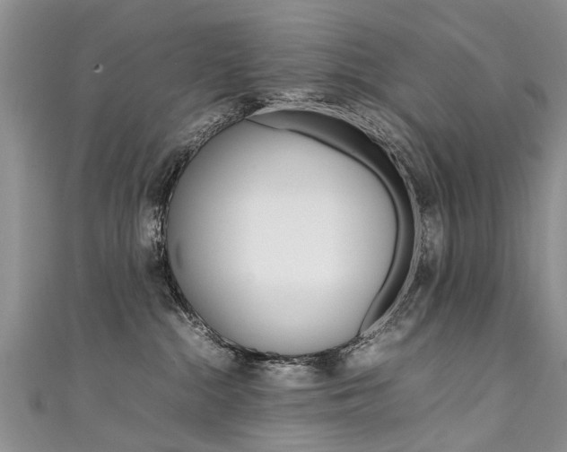 X0000111430284200907131046