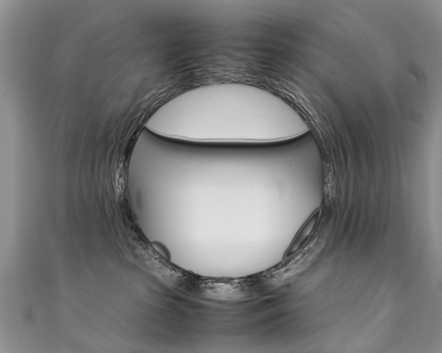 X0000111430285200907131046